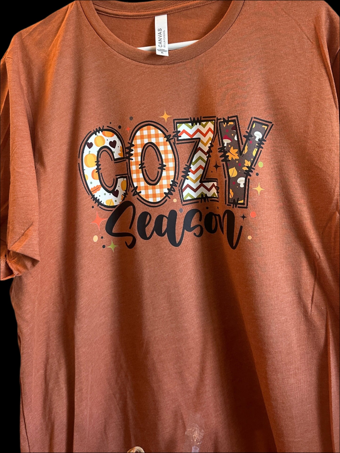 Cozy Season Colorful Fall Adult Shirt