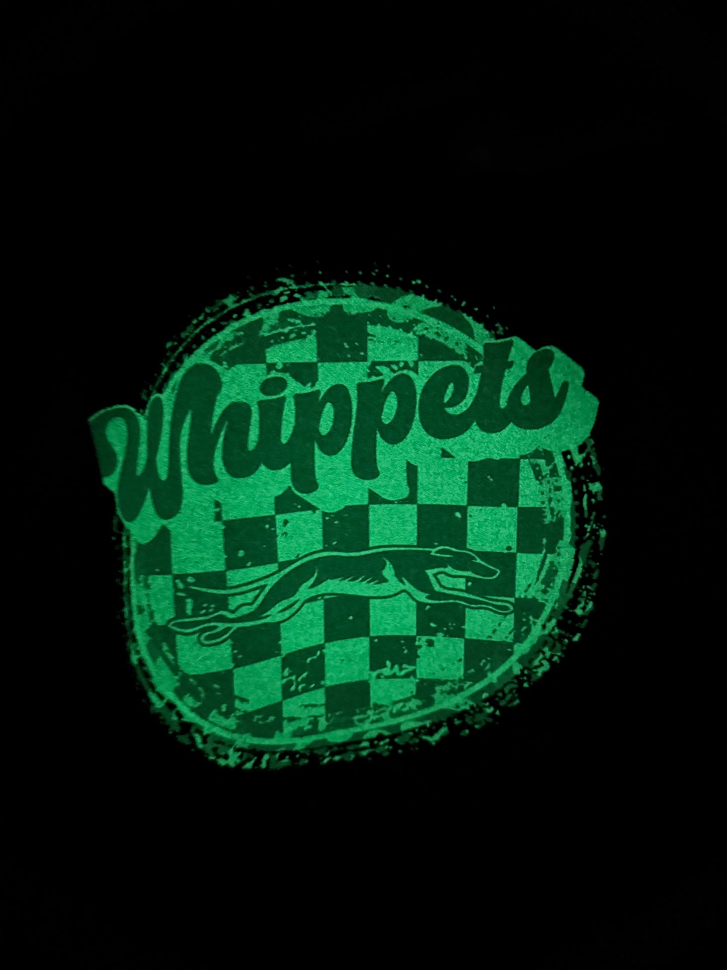 Minden Whippets GLOW IN THE DARK