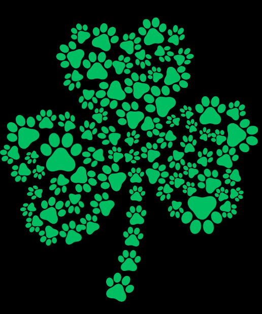 Shamrock Animal Shelter Shirt Fundraiser